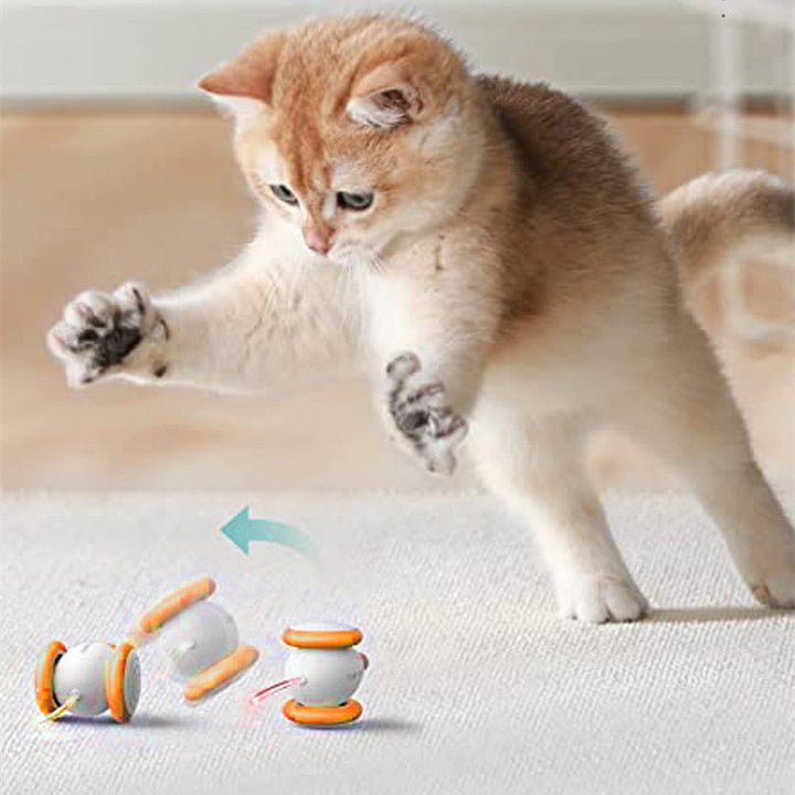 The Ultimate Playtime Companion for Your Feline Friend