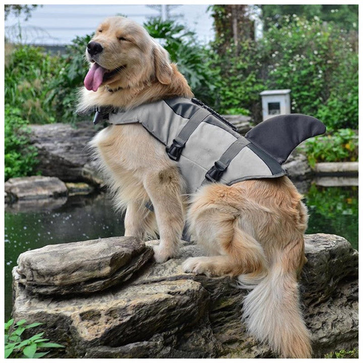 Keep Your Pup Safe This Summer with Our Pet Life Jacket