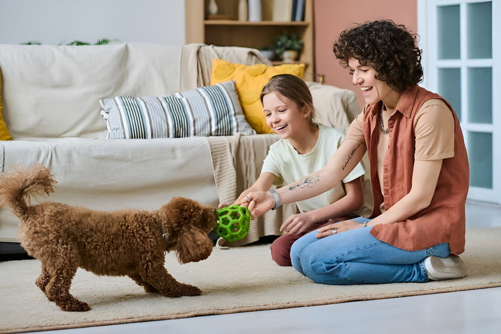 Exciting and Engaging Toys for Happy Pets