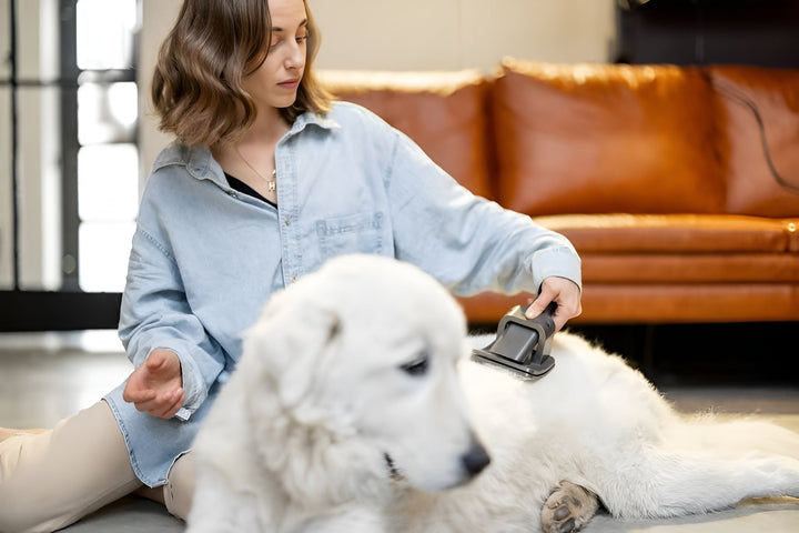 Gentle Grooming Tools for Clean Happy Pets