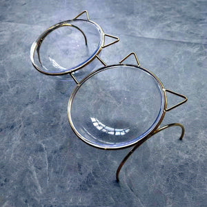 Elevate Your Pet's Dining Experience with Our Glass Pet Feeding Bowl Set