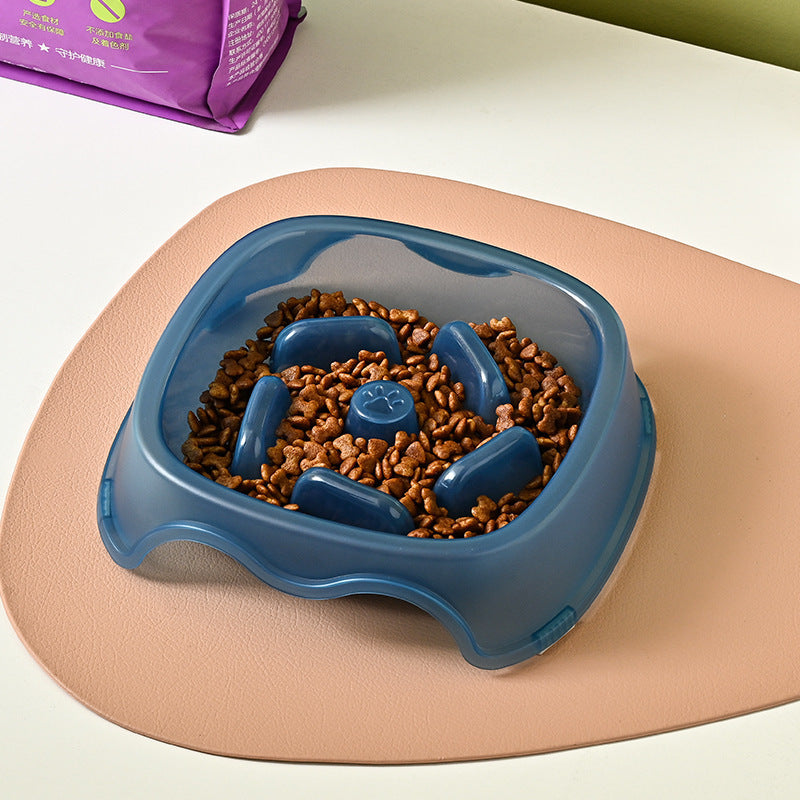 Pet Slow Feeding Anti Choking Water And Food Bowl