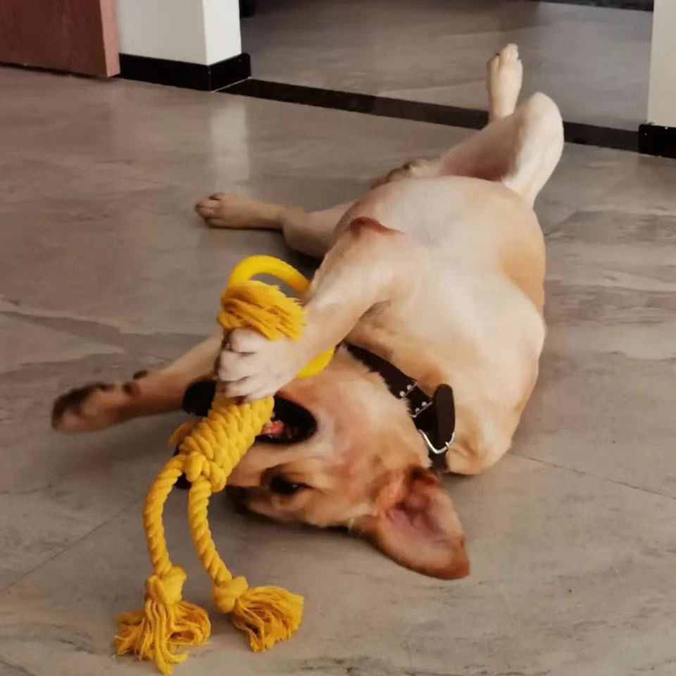 Pet Tear Resistant Chew Bite Toy