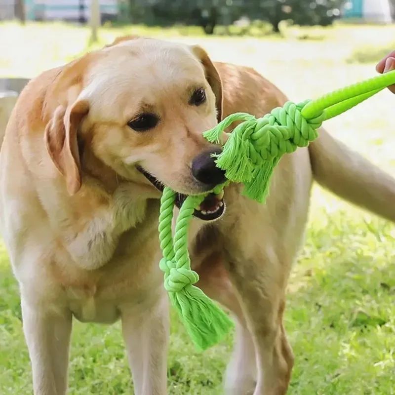 Pet Tear Resistant Chew Bite Toy