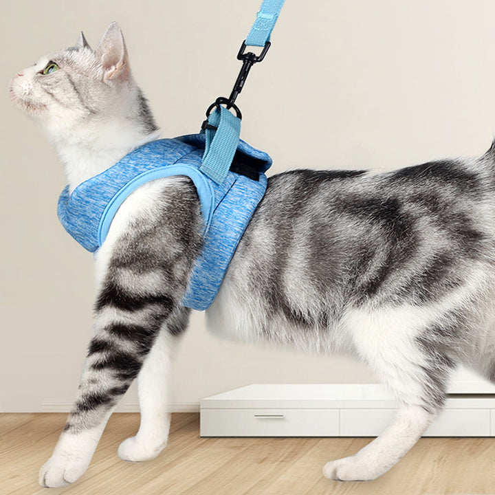 Lightweight Breathable Pet Leash Chest Strap Rope For Comfort