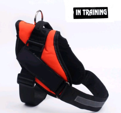 Pet Chest Strap Explosion Proof Leash Control Set