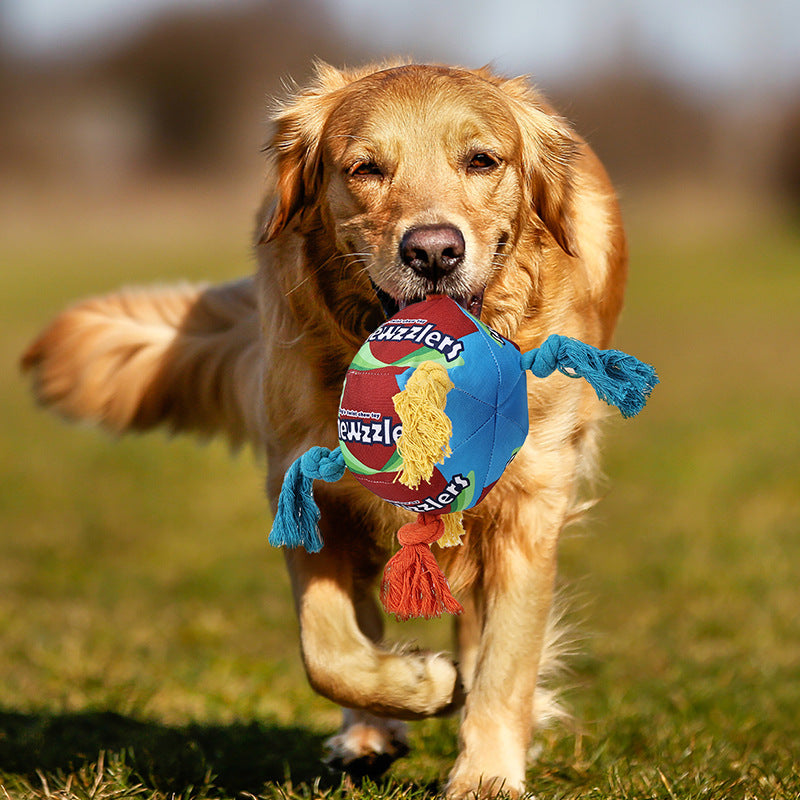 Pet Sniffing Puzzle Molar Treat Hiding Toy Ball