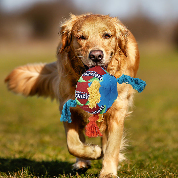 Pet Sniffing Puzzle Molar Treat Hiding Toy Ball