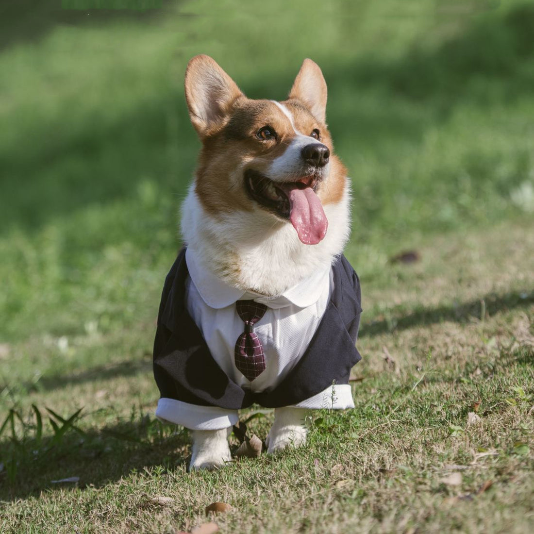 Pet Formal Suit Dress Tuxedo Clothing Apparel