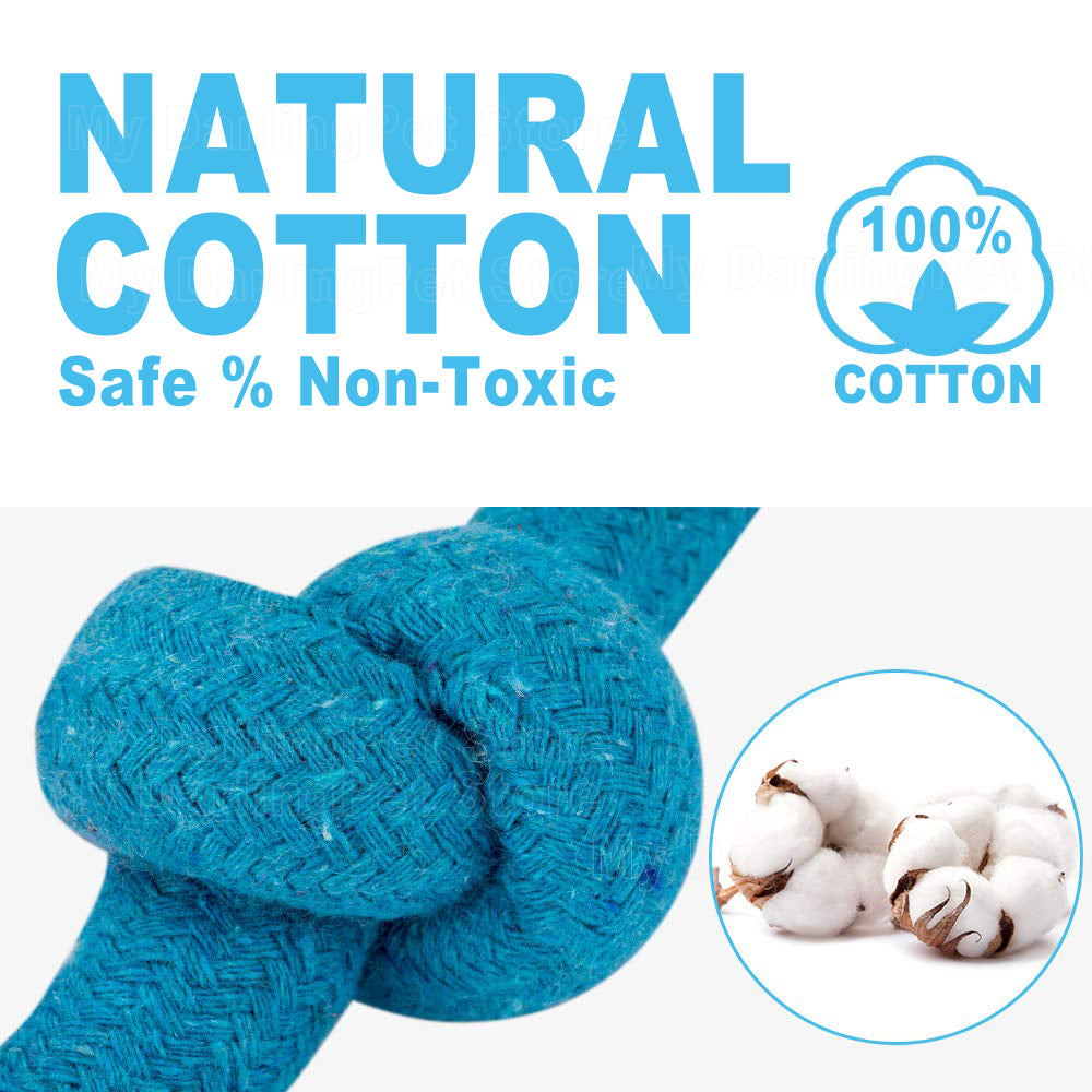 Pet Teddy Plush Toy