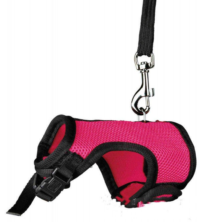 Pet Small Leash Walking Control Rope Gear