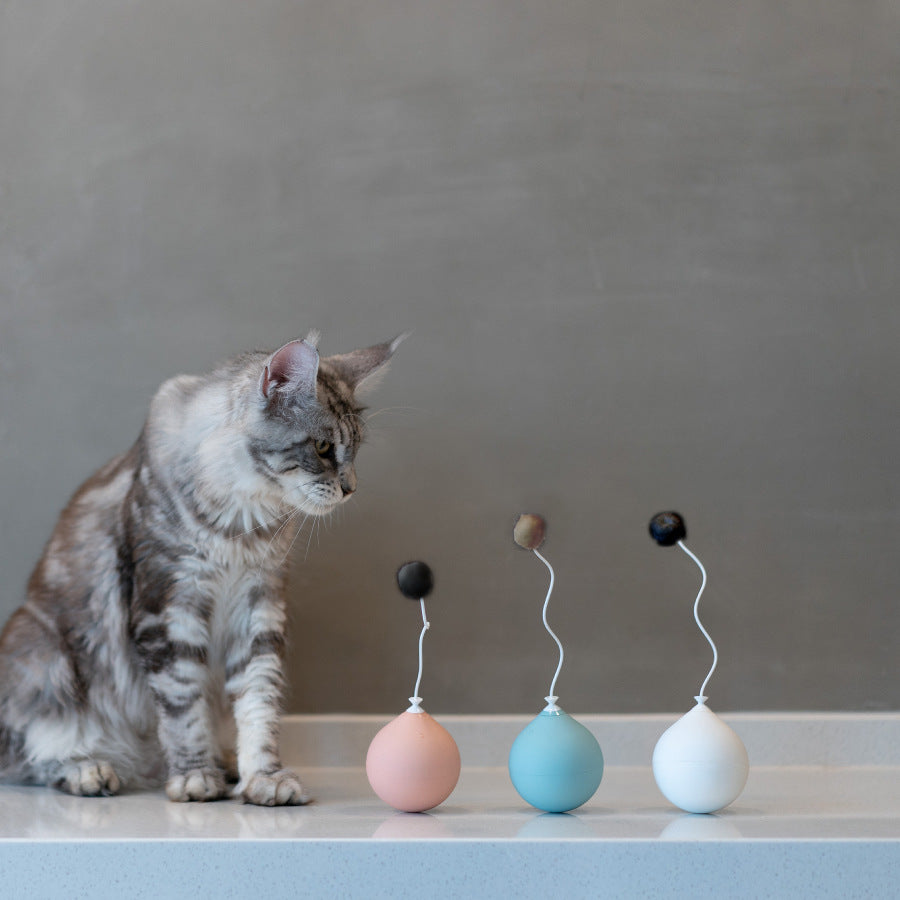 Pet Funny Electric Interactive Motion Play Activity Toy