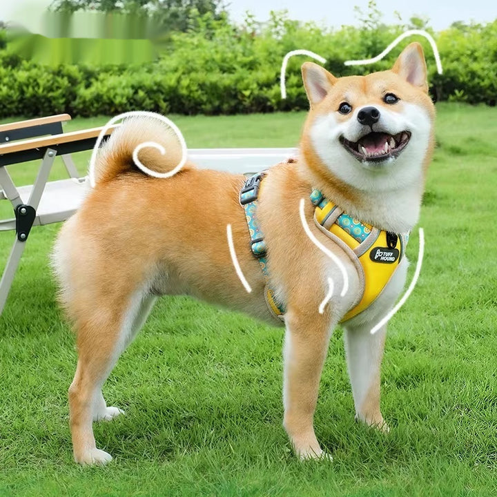 Pet Vest Harness Walking Leash Small Medium Control Set