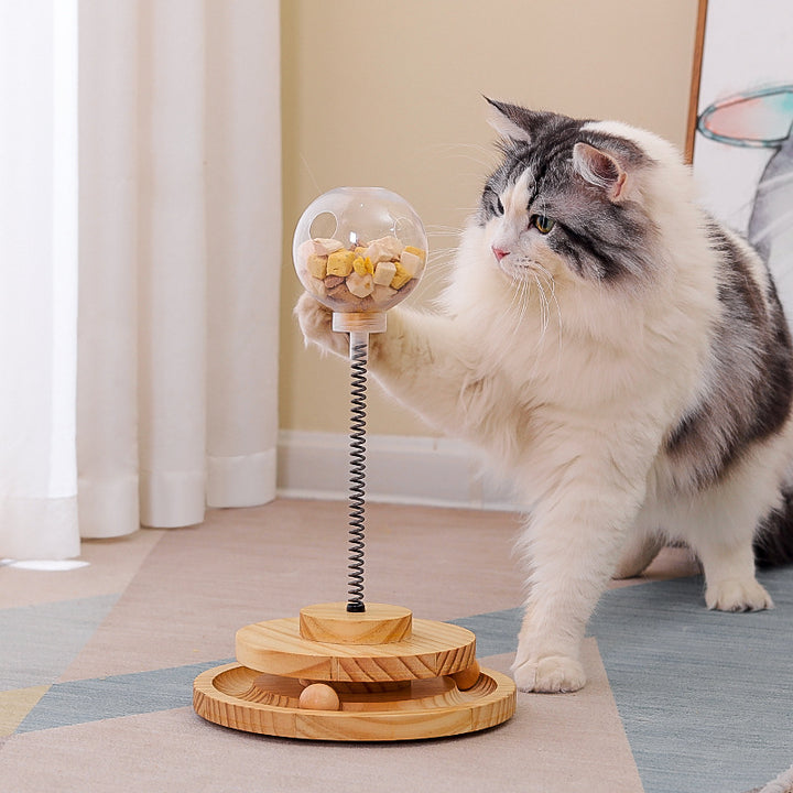 Pet Treat Dispenser Catnip Spring Slow Feeder Toy