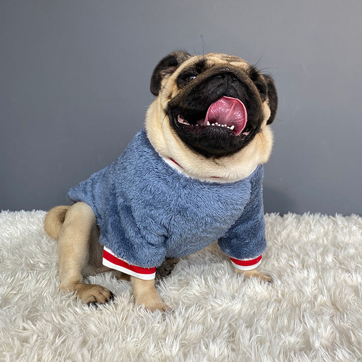 Pet Warm Knitted Sweater Clothing Apparel
