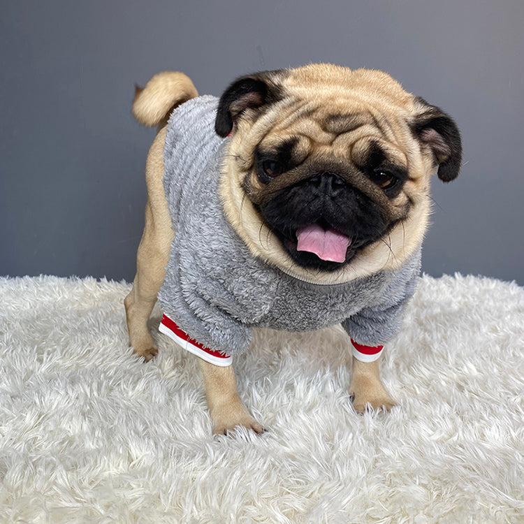 Pet Warm Knitted Sweater Clothing Apparel