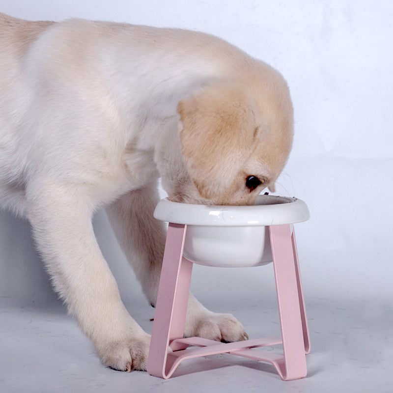 Pet Creative Anti Slip Feeding Bowl With Stand Water Feeder