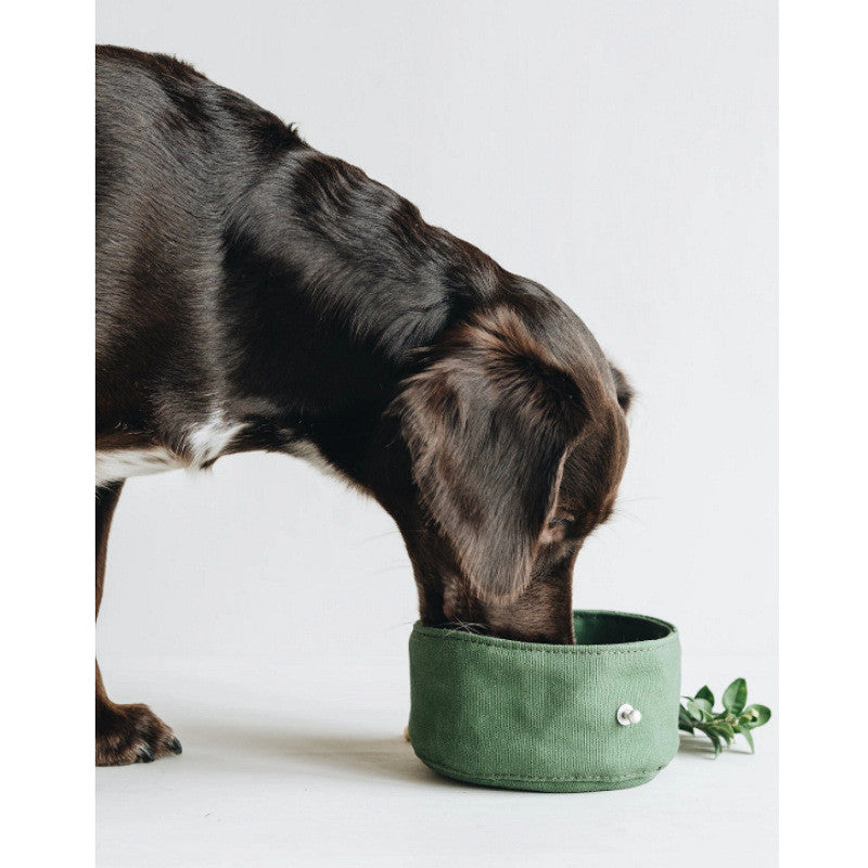Foldable Pet Canvas Feeding Bowl Portable Water And Food Travel Bag
