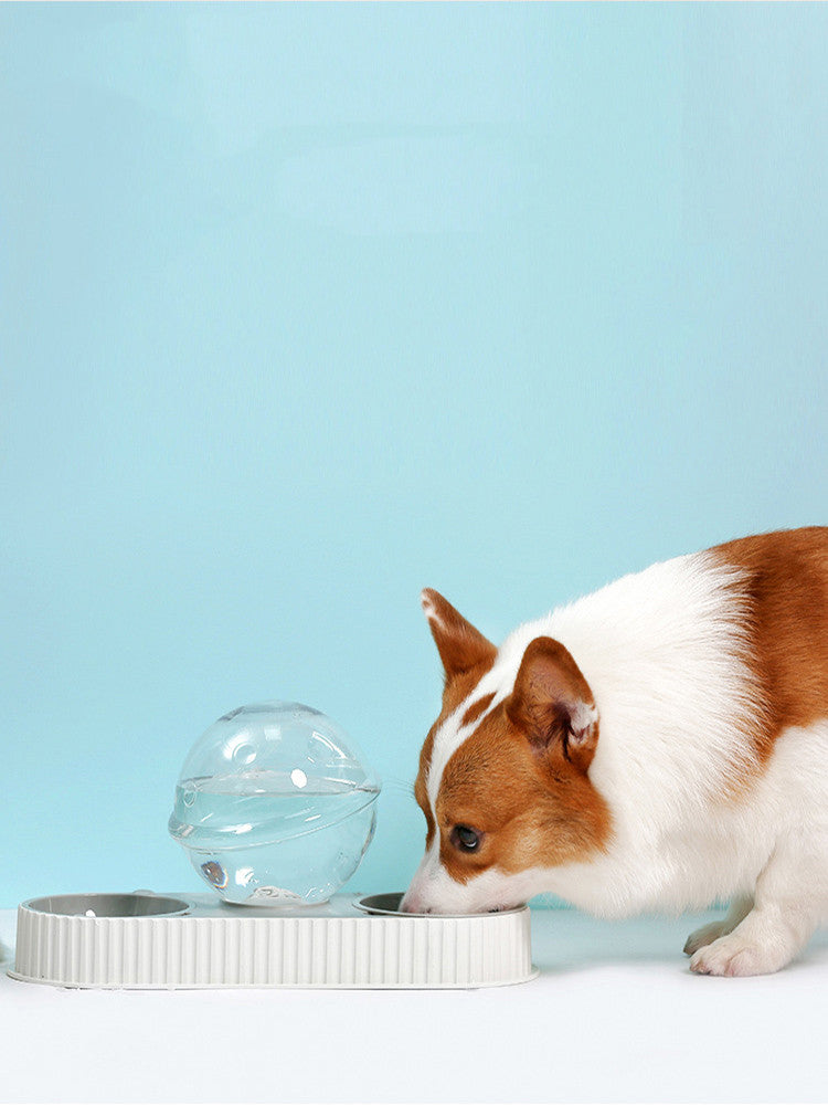 Automatic Pet Water Feeder Plastic Drinking Bowl Self Filling System