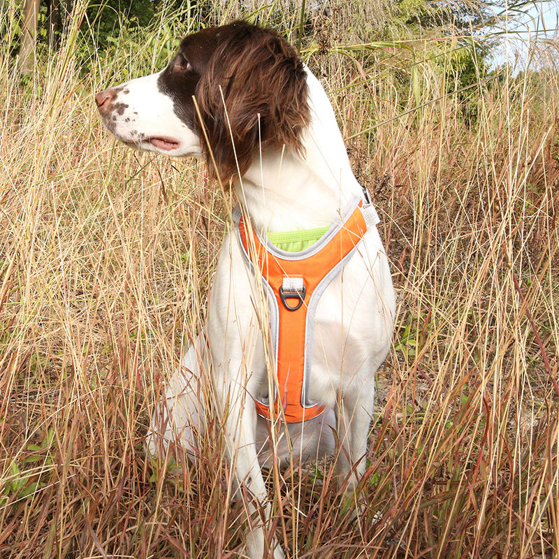 Adjustable Pet Chest Back Strap Outdoor Trekking Leash