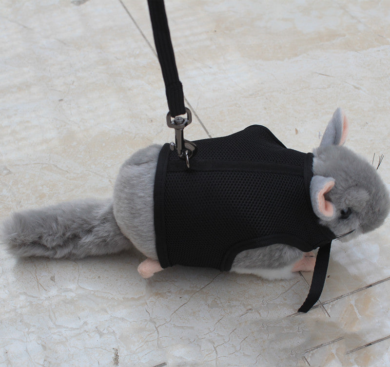 Pet Small Leash Walking Control Rope Gear