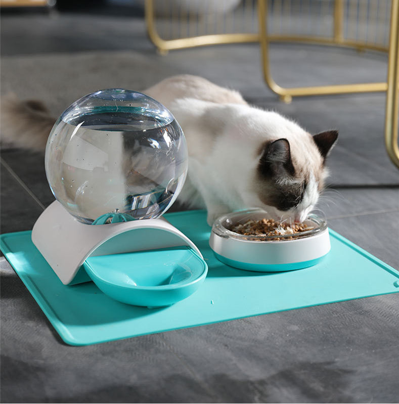 Pet Feeding Water Dispenser Bowl
