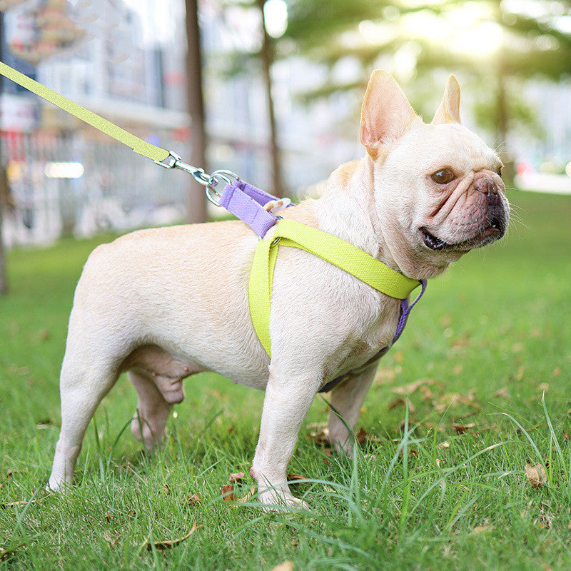 Color Drawstring Pet Vest Style Walking Leash Harness