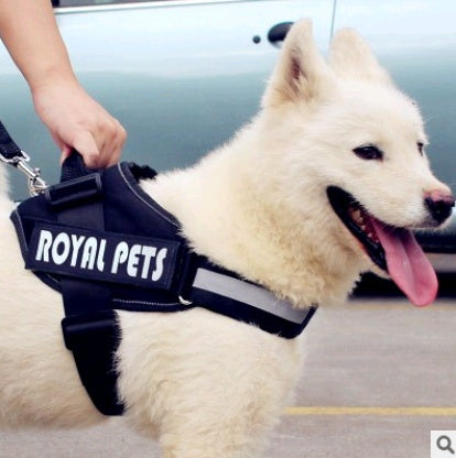 Pet Chest Strap Explosion Proof Leash Control Set