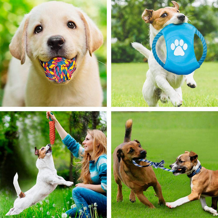 Pet Teddy Plush Toy