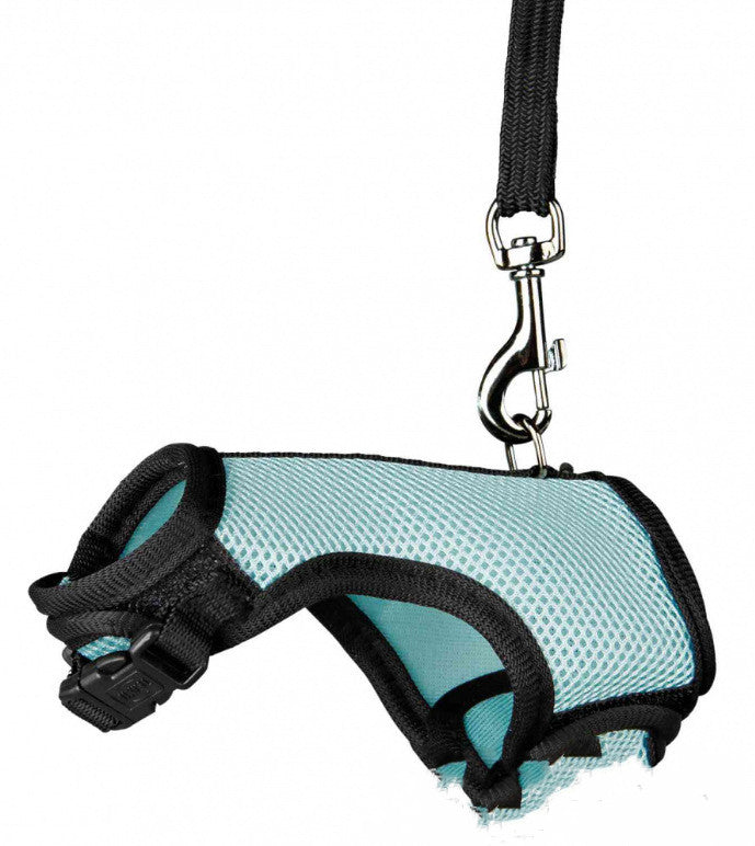 Pet Small Leash Walking Control Rope Gear