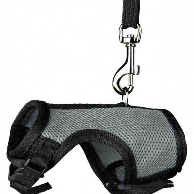 Pet Small Leash Walking Control Rope Gear