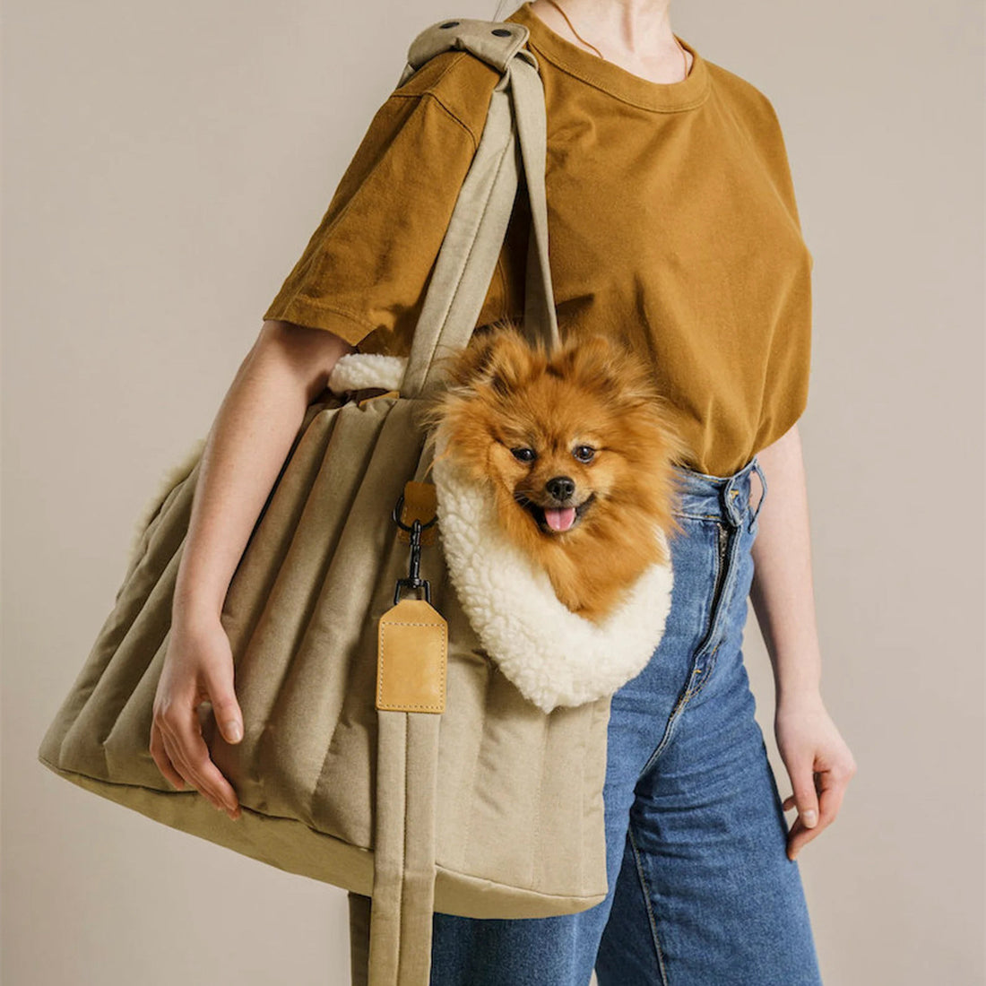 Lightweight Waterproof Portable Pet Carrier Handbag For Travel Use
