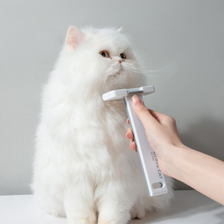 Pet Floating Hair Removal Grooming Cleaning Tool Supplies