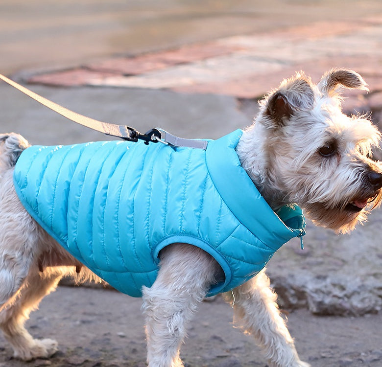 Pet Autumn Winter Nylon Zipper Jacket Clothing Apparel