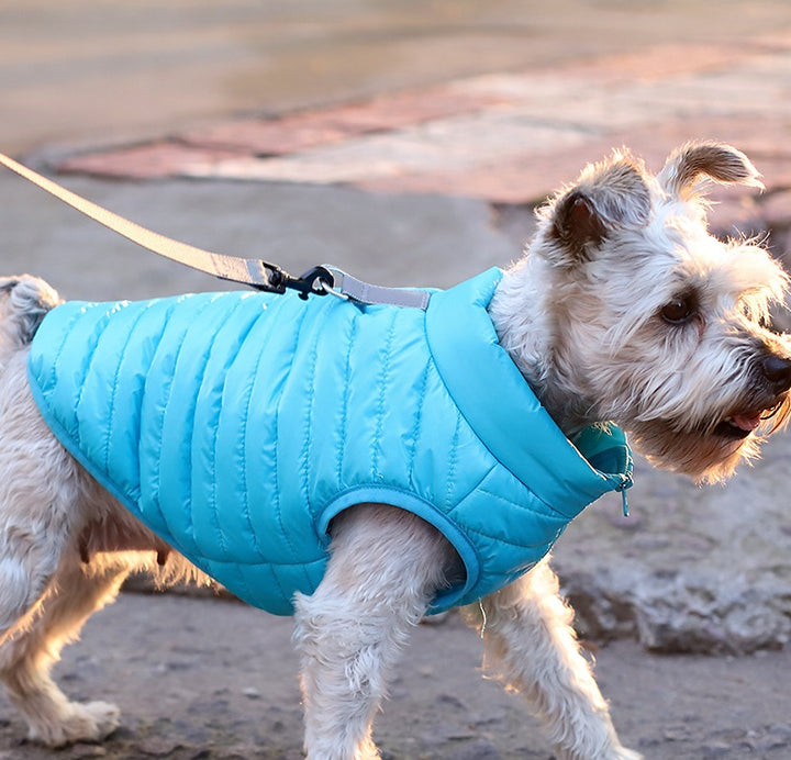 Pet Autumn Winter Nylon Zipper Jacket Clothing Apparel