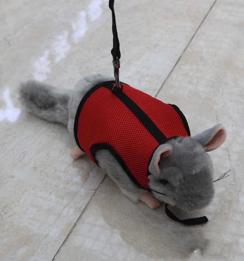 Pet Small Leash Walking Control Rope Gear