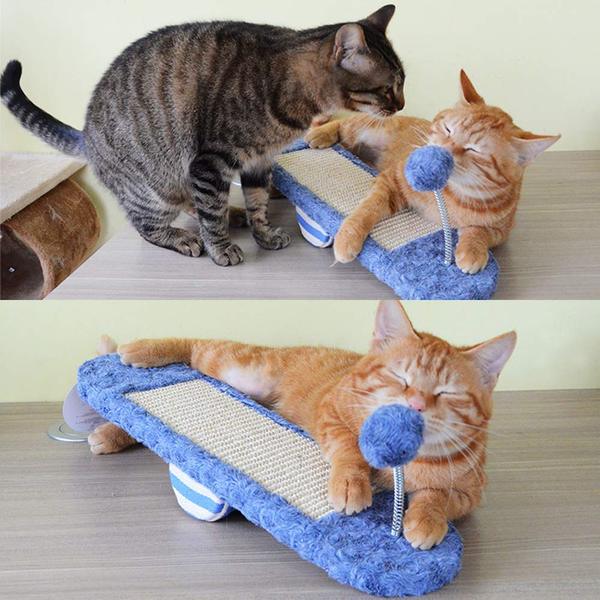Pet Seesaw Interactive Toy