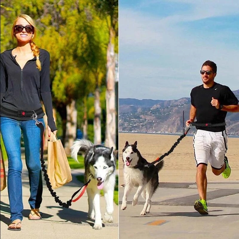 Pet Adjustable Harness Collar Jogging Leash Control Set