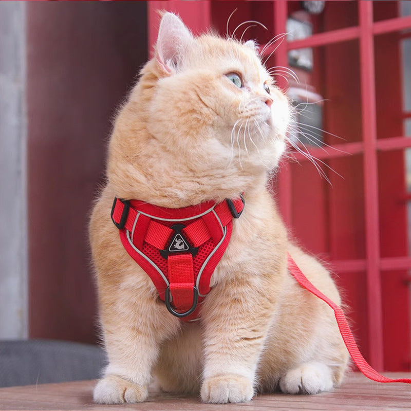 Pet Harness Vest Chest Strap Leash Walking Set