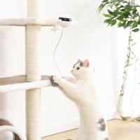 Pet Electronic Motion Interactive Toy