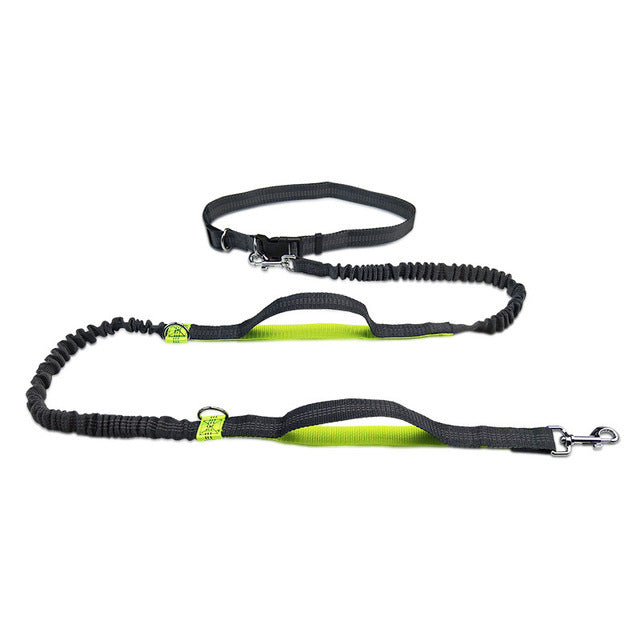 Pet Adjustable Harness Collar Jogging Leash Control Set