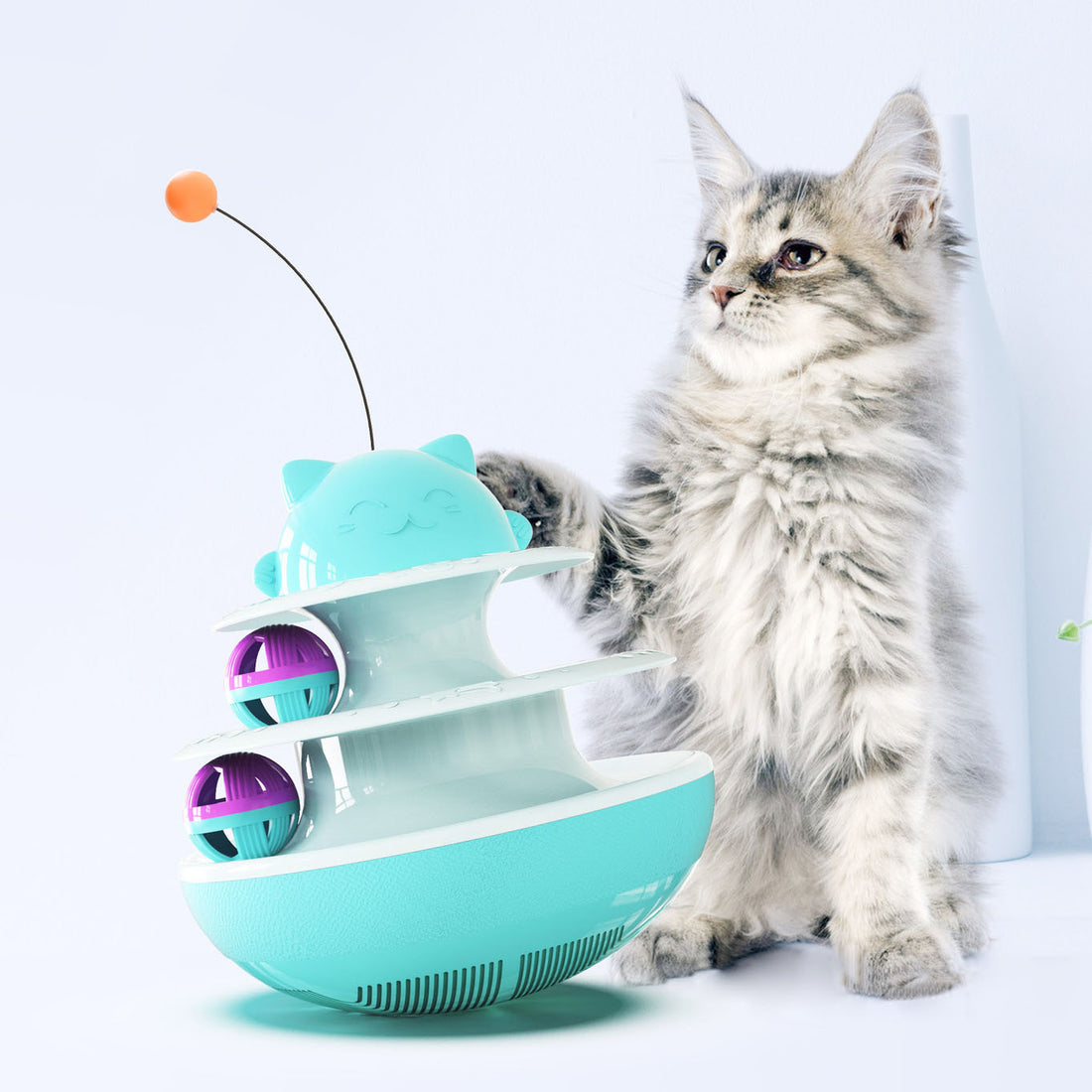Pet Track Interactive Toy