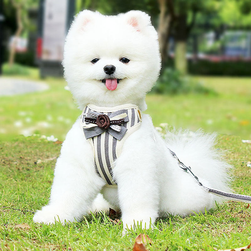 Pet Chest Strap Vest Leash Walking Control Set