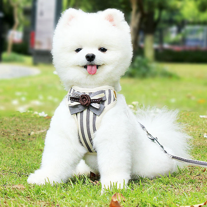 Pet Chest Strap Vest Leash Walking Control Set
