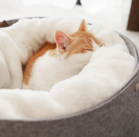 Comfortable Soft Plush Pet Sleeping Bed Mat