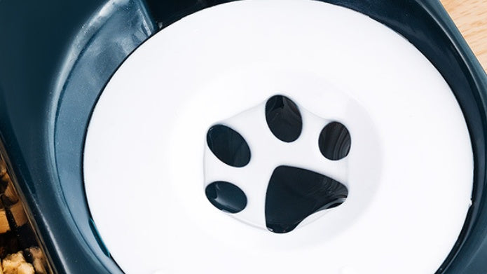 Automatic Pet Feeding Bowl Combined Food And Water Dispenser
