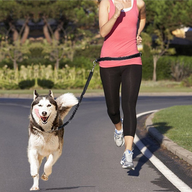 Pet Adjustable Harness Collar Jogging Leash Control Set