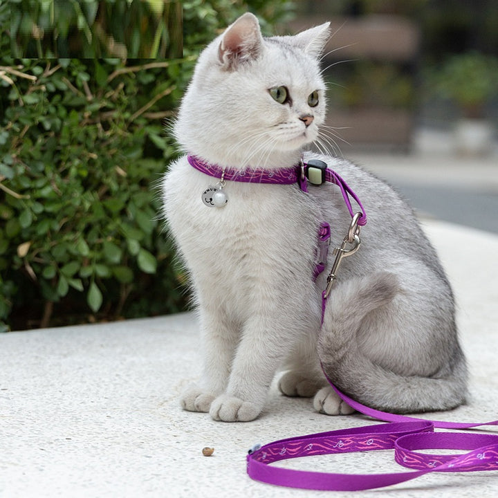 Pet Bell Chest Strap Vest Leash Walking Control Set