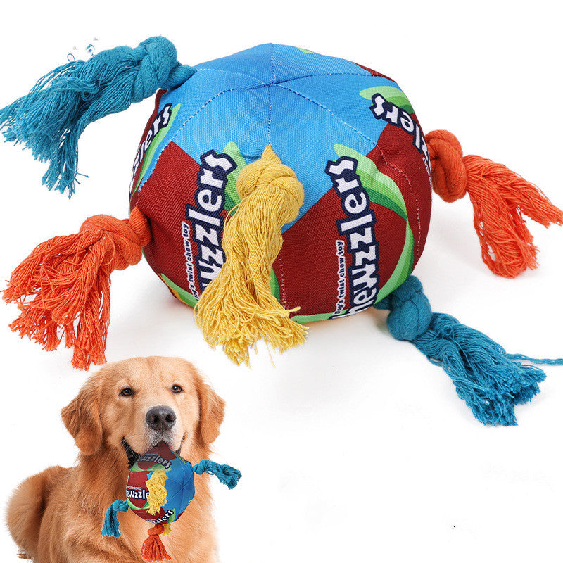 Pet Sniffing Puzzle Molar Treat Hiding Toy Ball