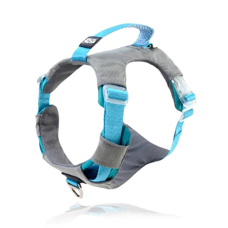 Explosion Proof Big Dog Chest Strap Cat Leash Storage Bag